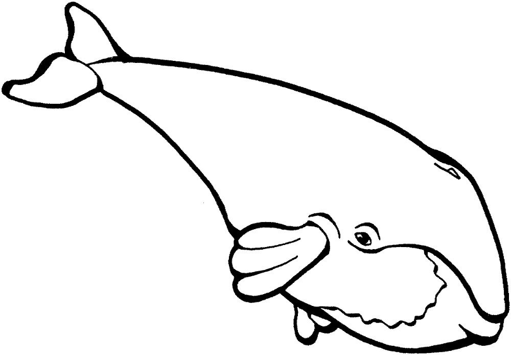 Dibujos de ballenas para pintar
