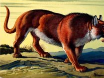 Andrewsarchus mongoliensis