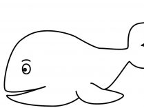 Dibujo para colorear de ballenas
