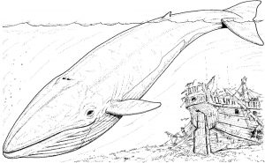 Dibujos de ballenas